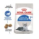 Royal Canin Indoor 7+ 3.5 кг сухий корм для котів старше 7 років