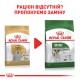 Royal Canin Maltese 500 г сухий корм для собак