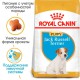 Royal Canin Jack Russell Terrier Puppy 1.5 кг сухий корм для цуценят