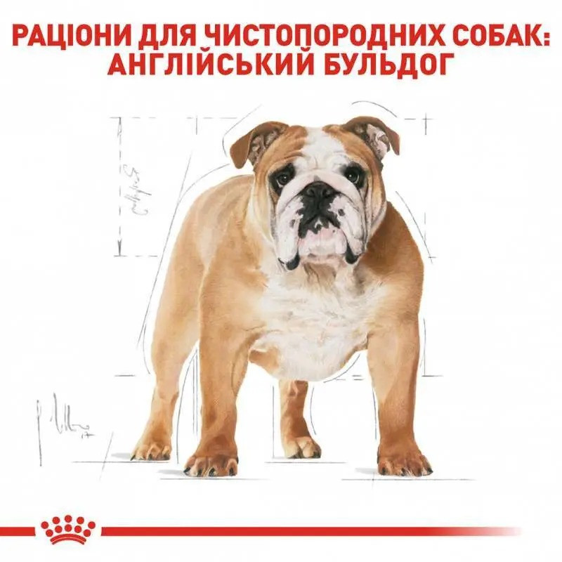 Royal Canin Bulldog Adult 3 кг сухий корм для собак породи Бульдог