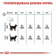Royal Canin Hairball Care 10 кг сухий корм для котів