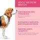 Optimeal Medium 1.5 кг сухий корм для собак середніх порід з індичкою