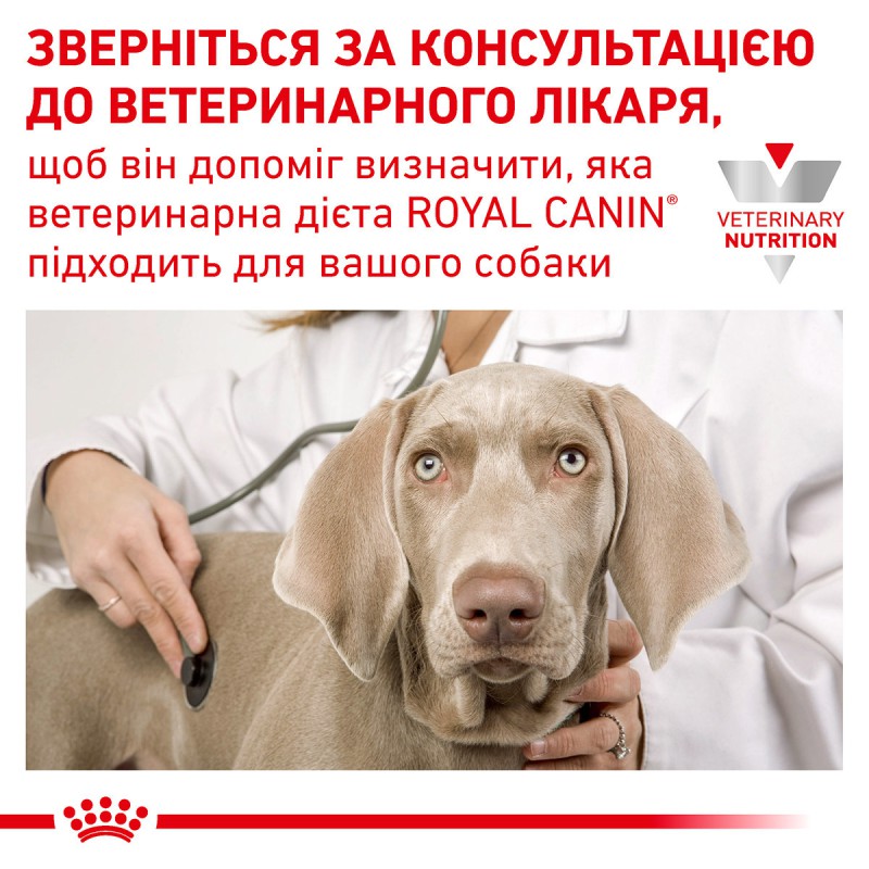Royal Canin Anallergenic Dog 8 кг сухий корм для собак при харчових алергічних реакціях