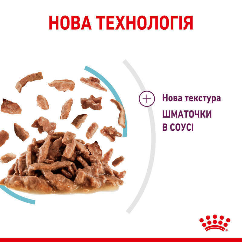 Royal Canin Sensory Feel in Jelly 12х85 г в желе для котів