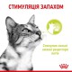Royal Canin Sensory Smell in Jelly 12х85 г в желе для котів
