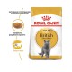 Royal Canin British Shorthair 4 кг сухий корм для котів