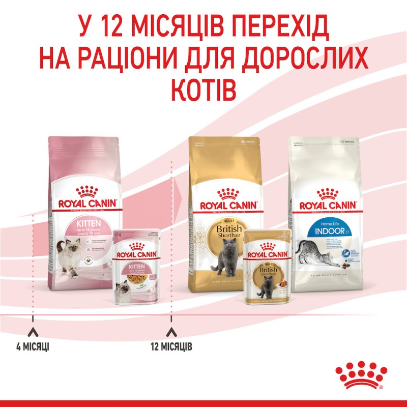 Royal Canin Kitten Instinctive у желе для кошенят 12x85 г