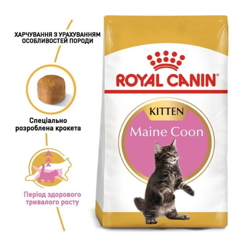 Royal Canin Maine Coon Kitten сухий корм для кошенят 2 кг