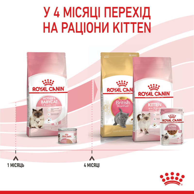Royal Canin Mother and Babycat 10 кг сухий корм для кошенят віком від 1 до 4 місяців