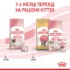 Royal Canin Mother and Babycat 10 кг сухий корм для кошенят віком від 1 до 4 місяців