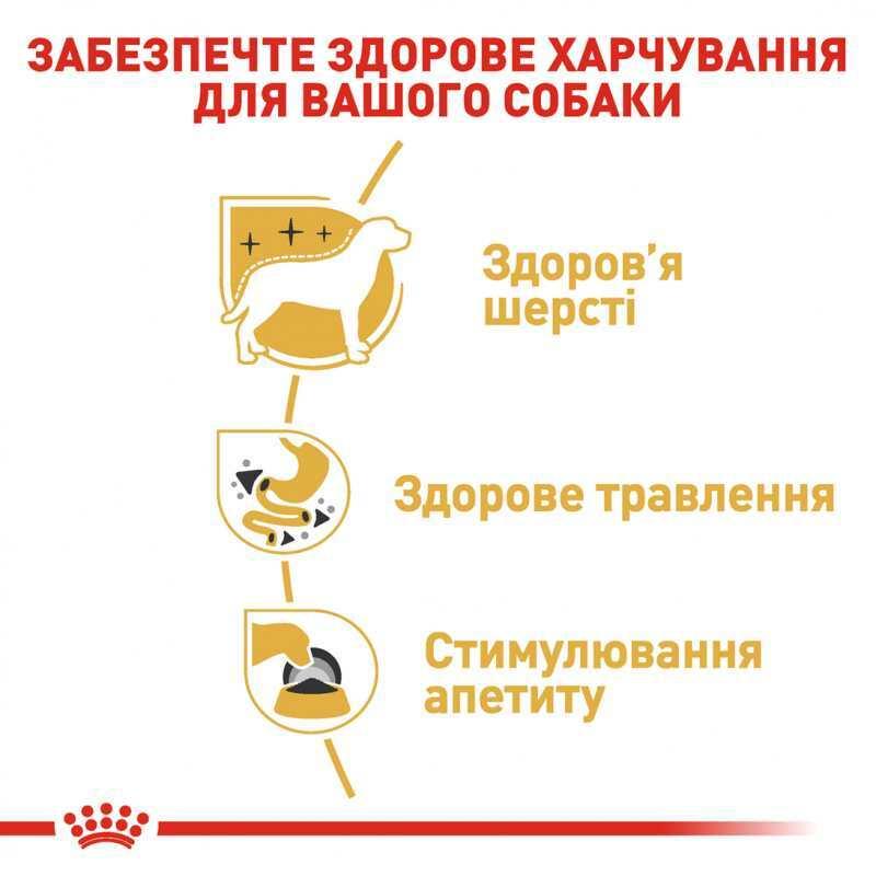 Royal Canin Chihuahua 12х85 г для собак