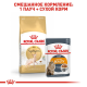 Royal Canin Sphynx  2 кг сухий корм для котів