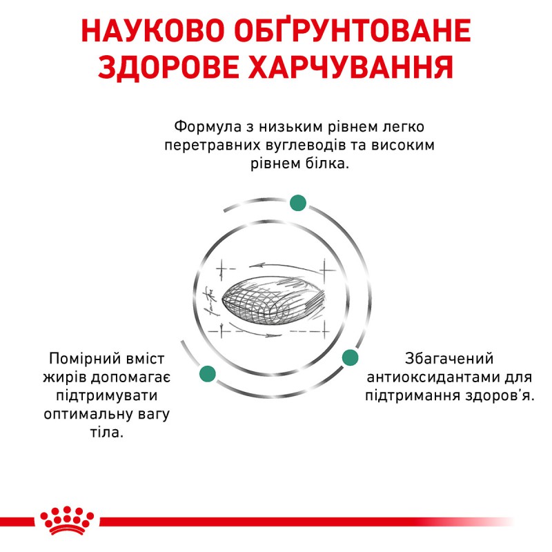 Royal Canin Diabetic 400 г сухий корм для кішок при діабеті
