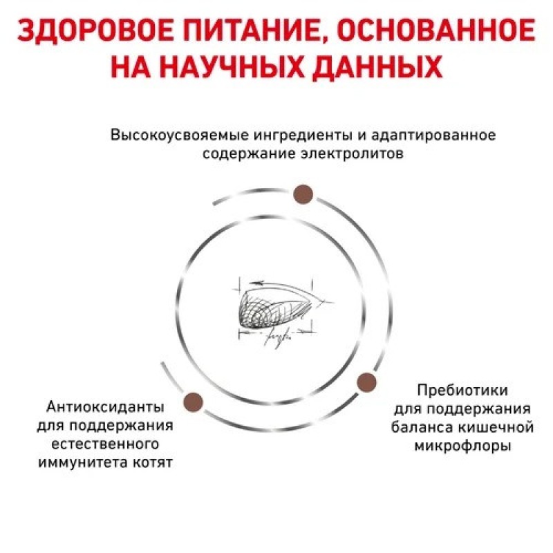 Royal Canin Gastrointestinal Kitten 400 г сухий корм для кошенят
