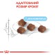 Royal Canin Babycat 4 кг сухий корм для кошенят та кішок, що годують