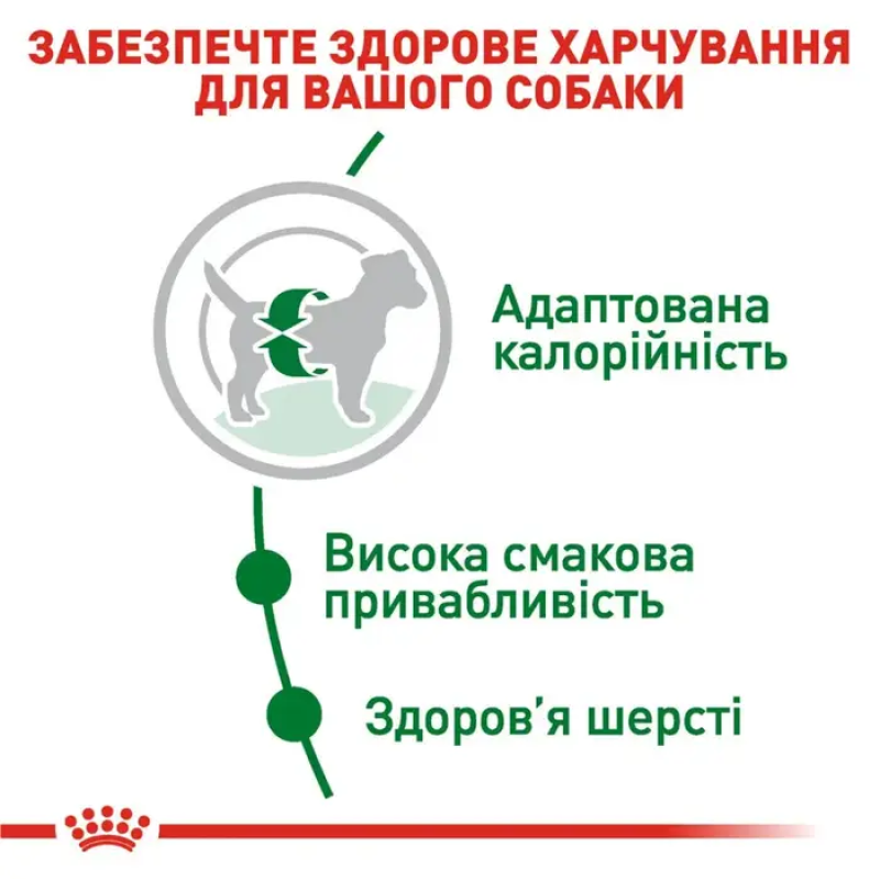 Royal Canin Mini Adult 4 кг сухий корм для собак