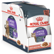 Royal Canin Appetite Control у соусі 12х85 г для котів