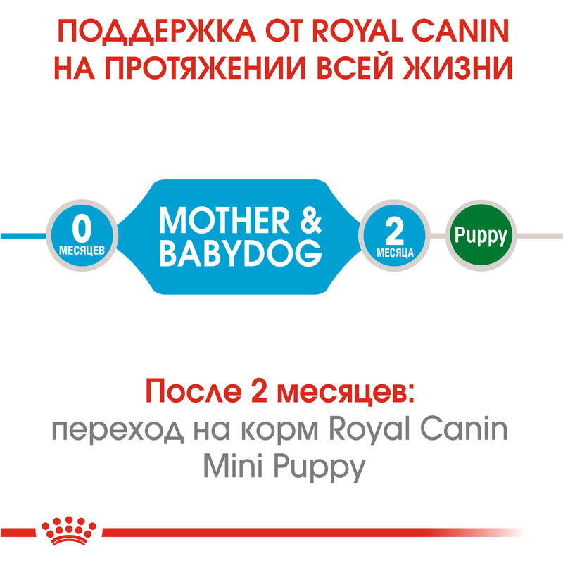 Royal Сanin Mini Starter 8 кг сухий корм для цуценят