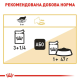 Royal Canin Maine Coon 12х85 г для котів