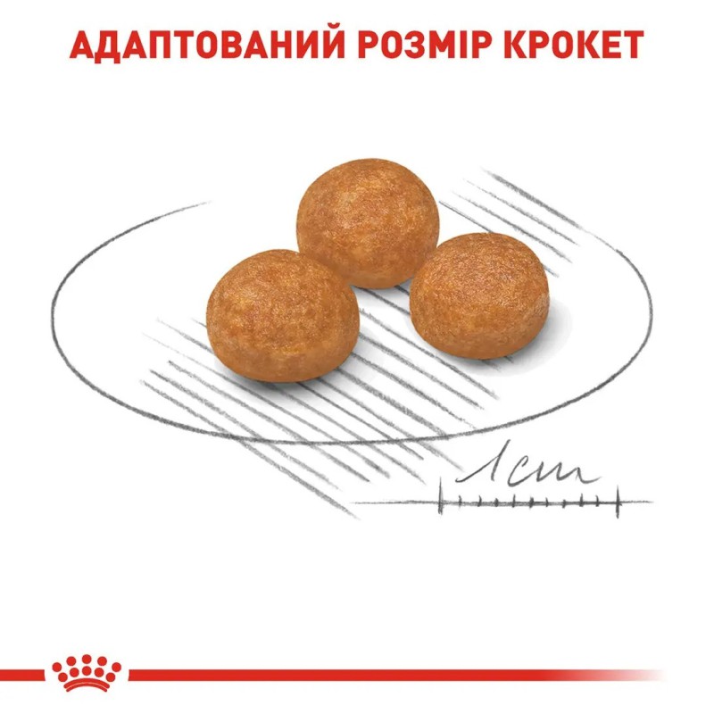 Royal Canin Xsmall Adult 3 кг сухий корм для собак