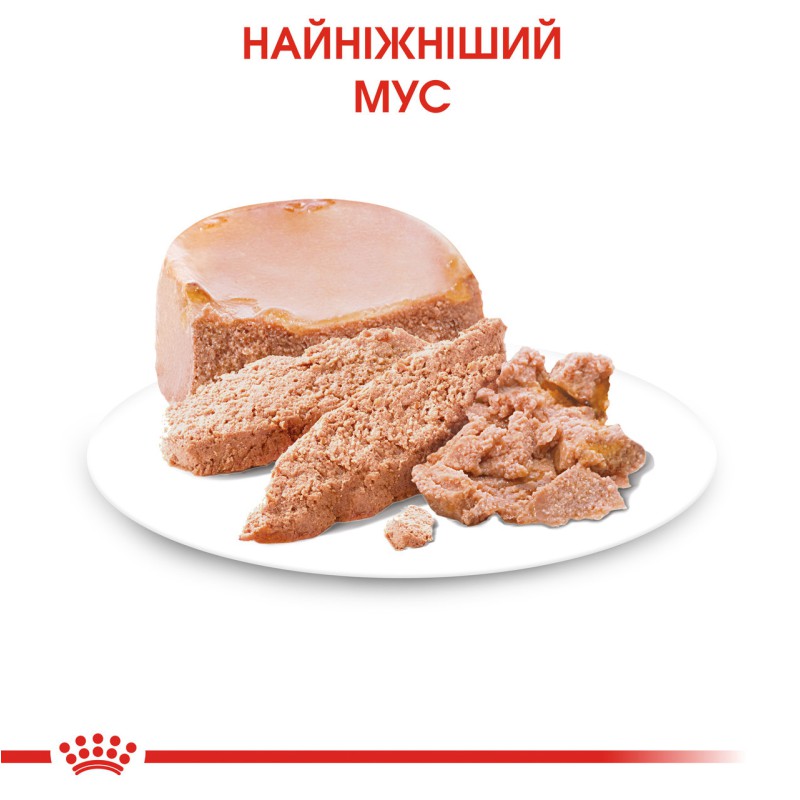 Royal Canin Starter Mouse Mother Babydog для цуценят 12х195 г