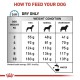 Royal Canin Anallergenic Small Dog 3 кг сухий корм для собак