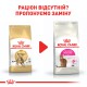 Royal Canin Bengal 2 кг сухий корм для котів