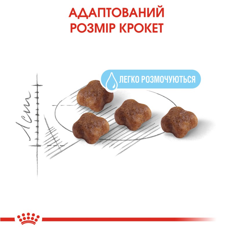 Royal Canin Babycat 400 г сухий корм для кошенят та кішок, що годують