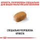 Royal Canin Maltese 1.5 кг сухий корм для собак