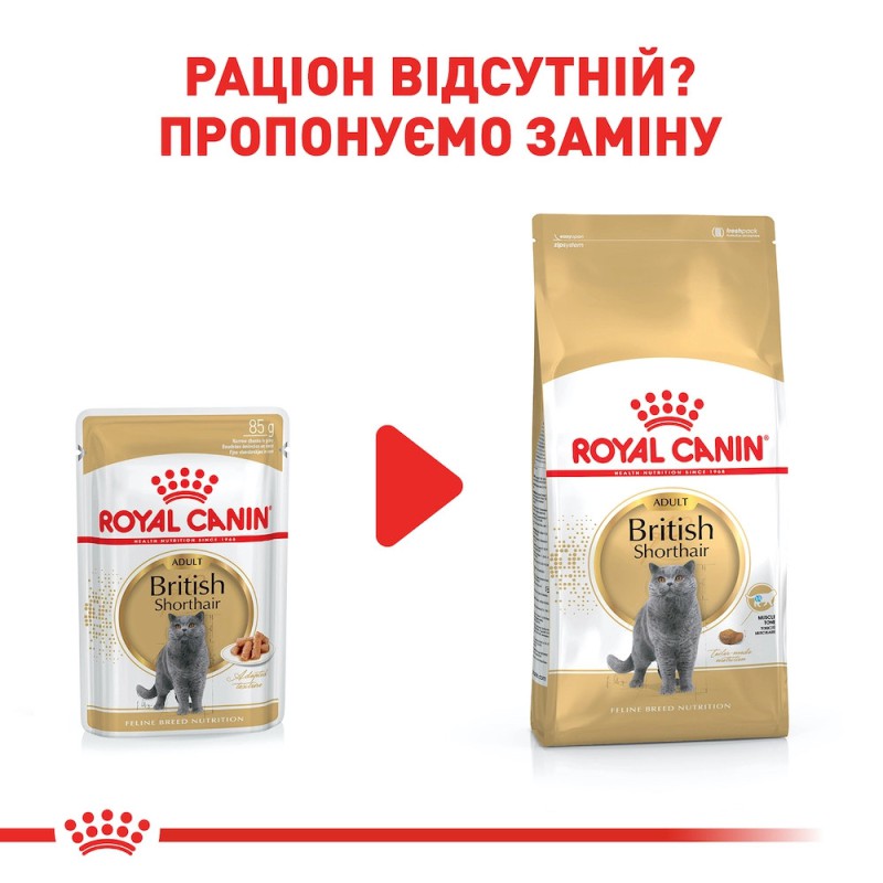 Royal Canin British Shorthair 12х85 г для котів породи британська короткошерстна