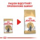 Royal Canin British Shorthair 12х85 г для котів породи британська короткошерстна