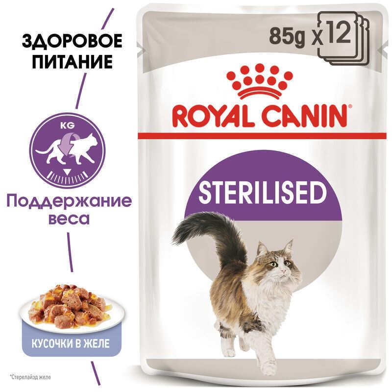 Royal Canin Sterilised Jelly в желе 12х85 г для стерилізованих кішок