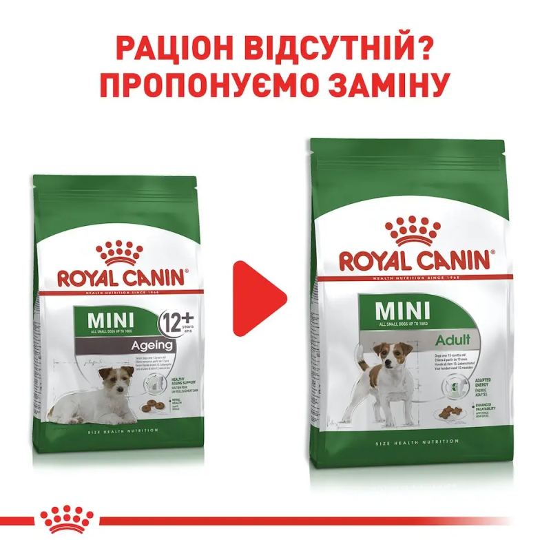 Royal Canin Mini Ageing 12+ 800 г сухий корм для собак віком від 12 років