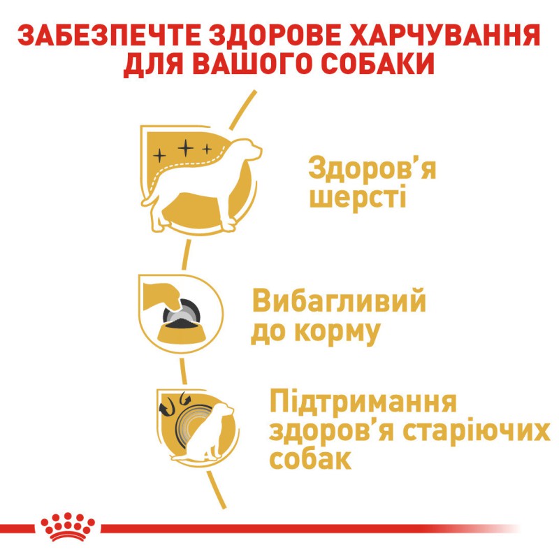 Royal Canin Yorkshire Terrier Adult 500 г сухий корм для собак
