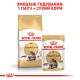 Royal Canin Maine Coon 4 кг сухий корм для котів породи Мейн-кун