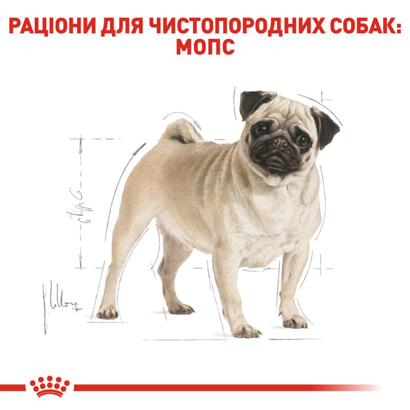 Royal Canin Pug 1.5 кг сухий корм для собак