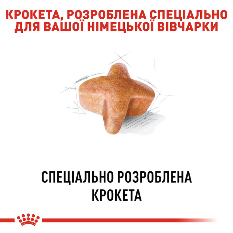 Royal Canin German Shepherd Adult 11 кг сухий корм для собак німецької вівчарки