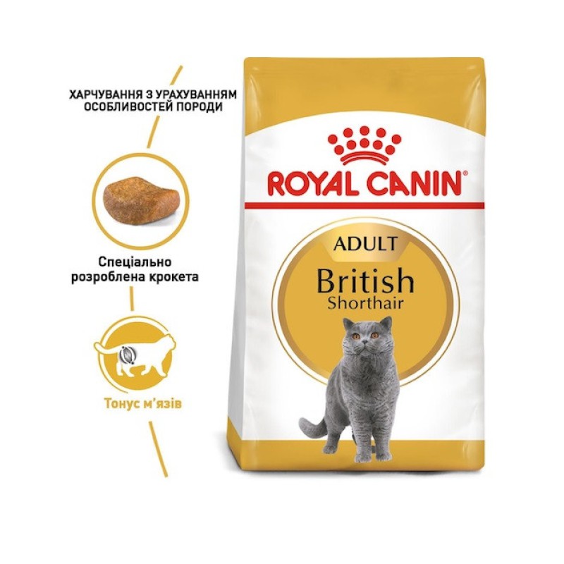 Royal Canin British Shorthair 10 кг сухий корм для котів британської породи