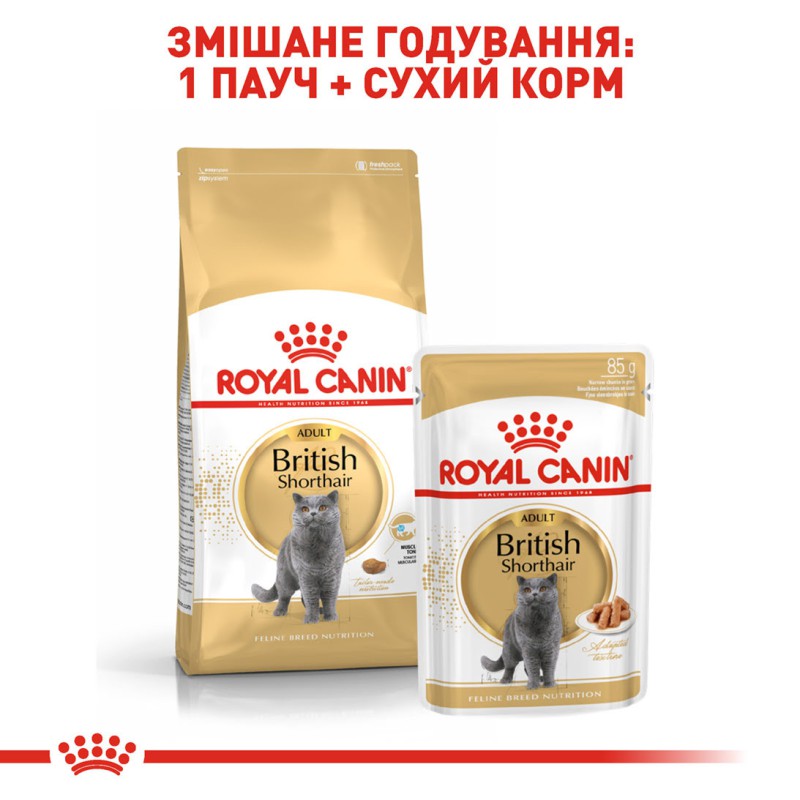 Royal Canin British Shorthair 2 кг сухий корм для котів
