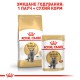 Royal Canin British Shorthair 2 кг сухий корм для котів