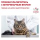 Royal Canin Gastrointestinal Kitten 400 г сухий корм для кошенят