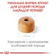 Royal Canin Labrador Retriever Puppy 3 кг сухий корм для цуценят