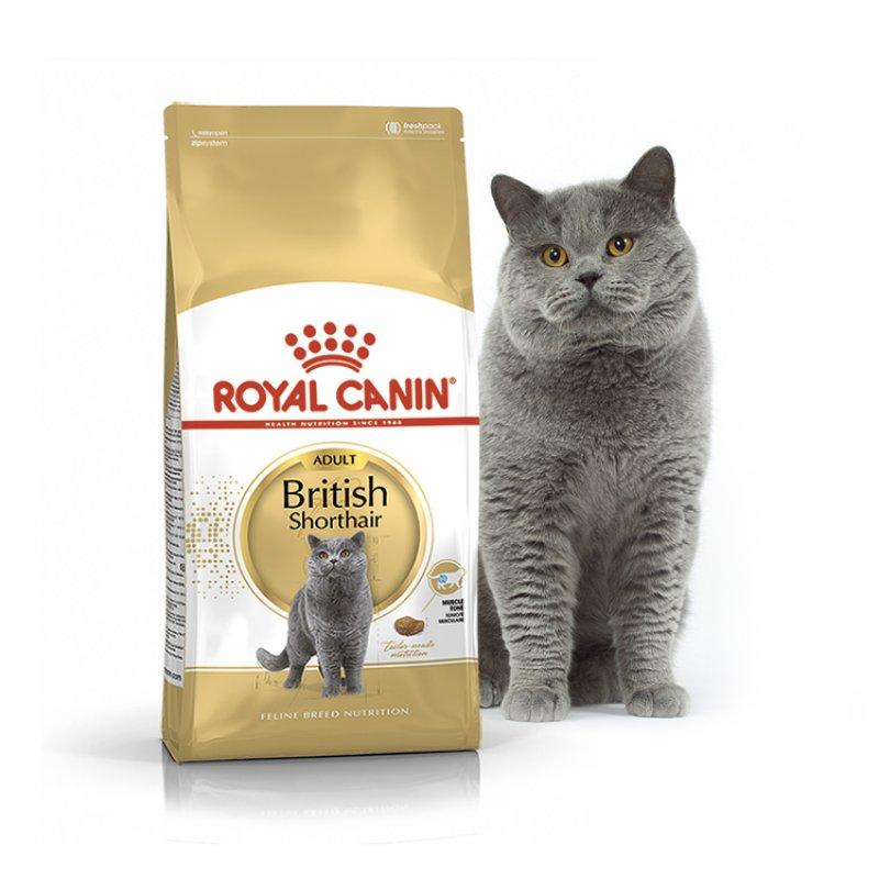 Royal Canin British Shorthair 4 кг сухий корм для котів
