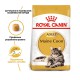 Royal Canin Maine Coon 2 кг сухий корм для кішок породи Мейн-кун