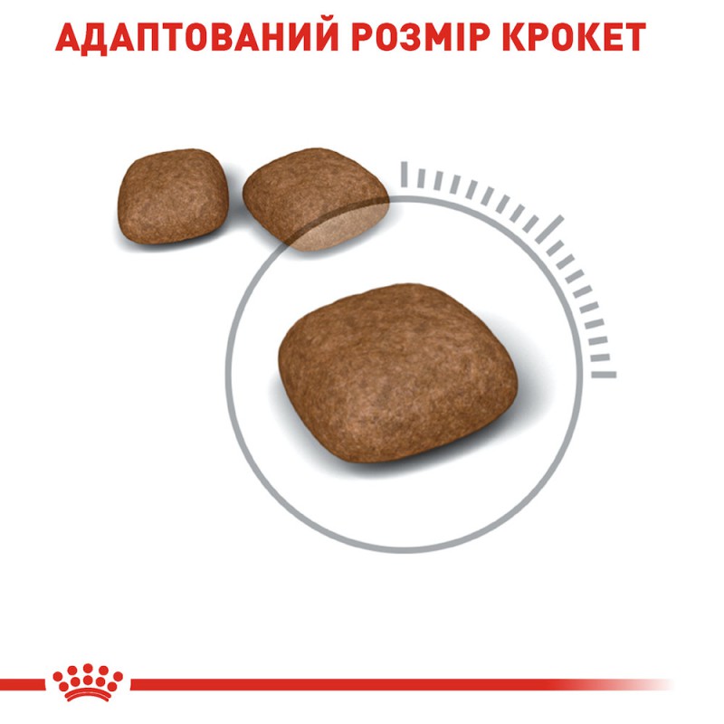 Royal Canin Urinary Care Feline 10 кг сухий корм для котів