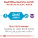 Royal Canin Giant Junior 15 кг сухий корм для щенят гігантських порід