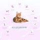 Optimeal Cat Beauty Harmony Calming 1.5 кг сухий корм м'який заспокійливий ефект для кішок з морепродуктів