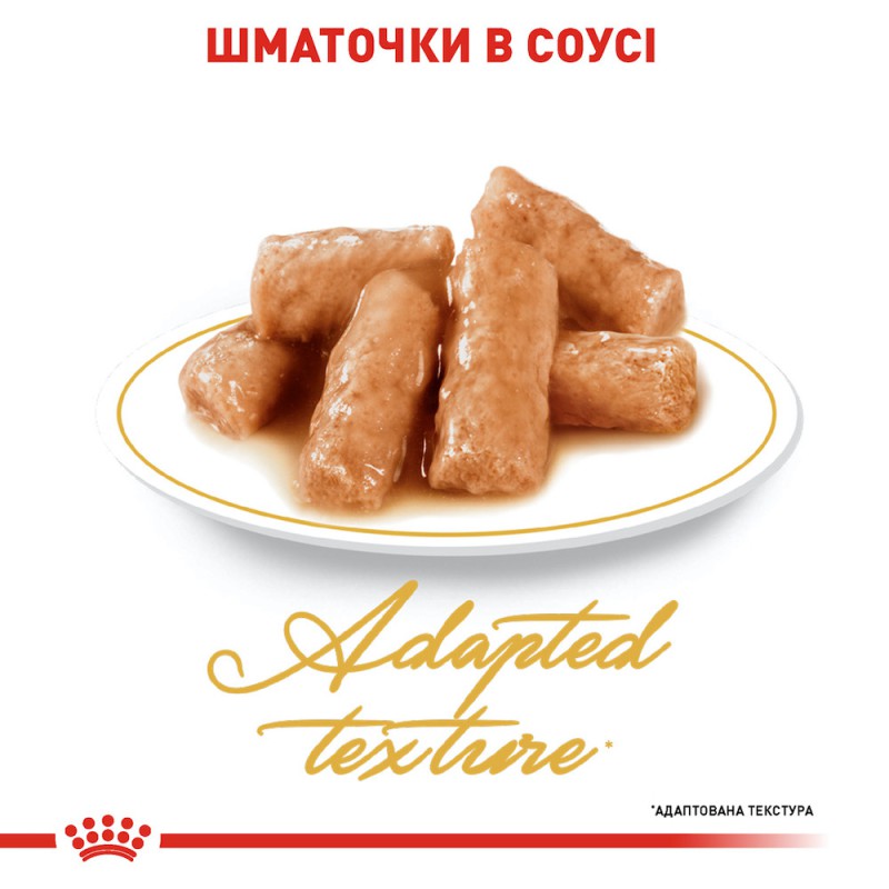 Royal Canin British Shorthair 12х85 г для котів породи британська короткошерстна
