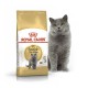 Royal Canin British Shorthair 2 кг сухий корм для котів