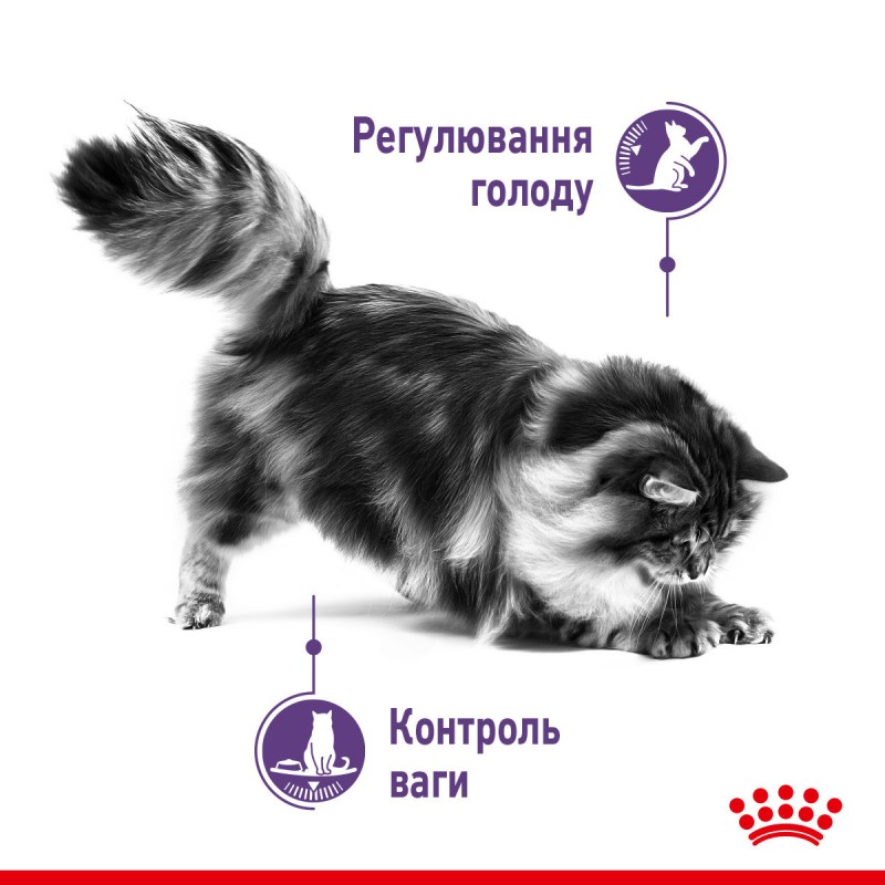 Royal Canin Appetite Control 2 кг сухий корм для котів